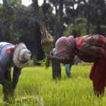 Climate insurance scheme targets women farmers in Africa, Asia