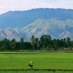 Unlocking protection for rural smallholders in emerging economies